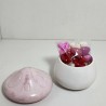 Seta con wax melt