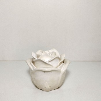 Rosa vainilla de la Polinesia