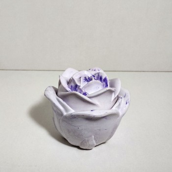Rosa vela vainilla de la Polinesia