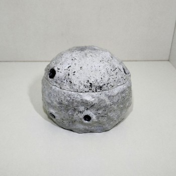 Luna vela naranja, nuevos comienzos