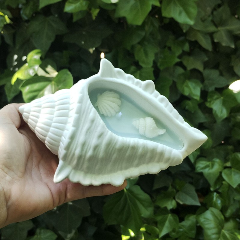 Caracola brisa marina