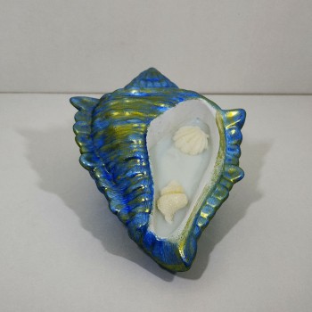 Caracola brisa marina